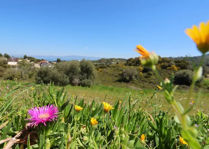 Hilltop 1 * Chaniotis